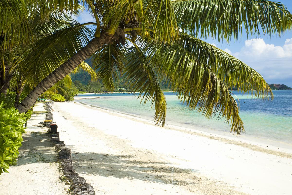 Indian Ocean Lodge Grand Anse  Dış mekan fotoğraf