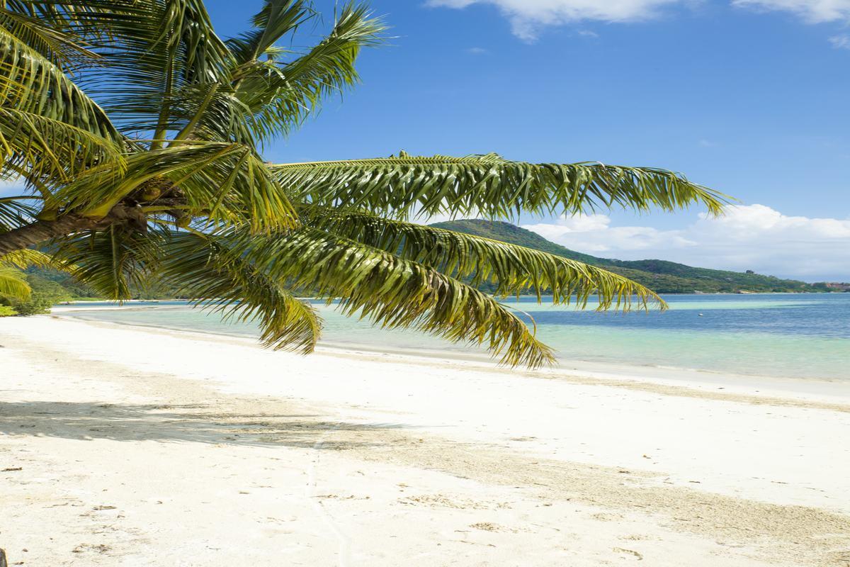 Indian Ocean Lodge Grand Anse  Dış mekan fotoğraf